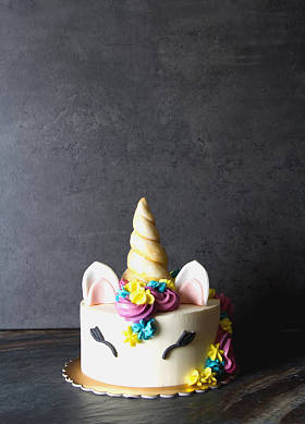 孩子们的生日蛋糕孩子的假期