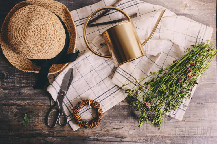 質(zhì)樸的園丁設(shè)置在木背輪。復(fù)古剪刀和干花