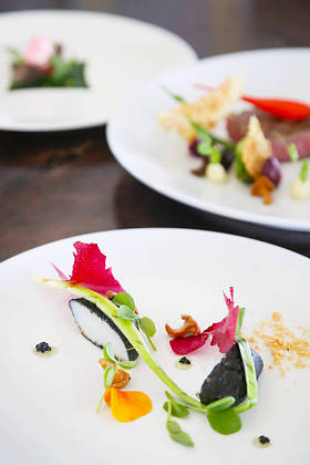 优雅、创意的餐厅餐饮三道菜--高级时装食品理念