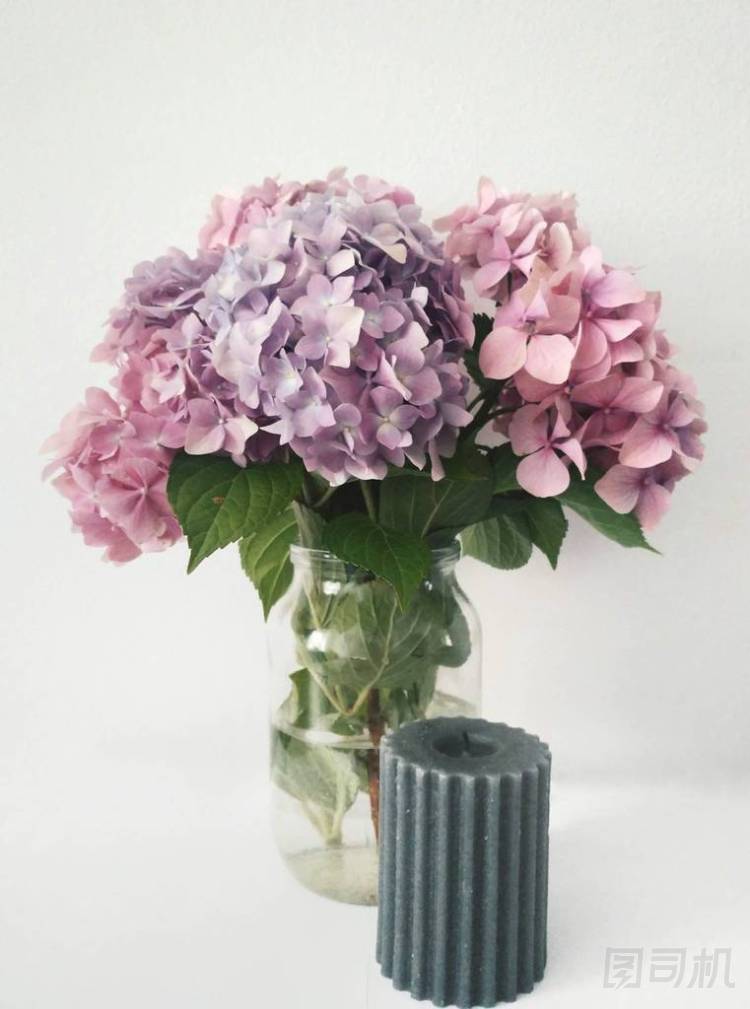 粉紅色和紫色繡球花與灰色蠟燭在白色背圓