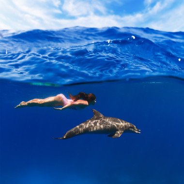 游泳的女孩粉红色泳装和海豚在海洋水下玩