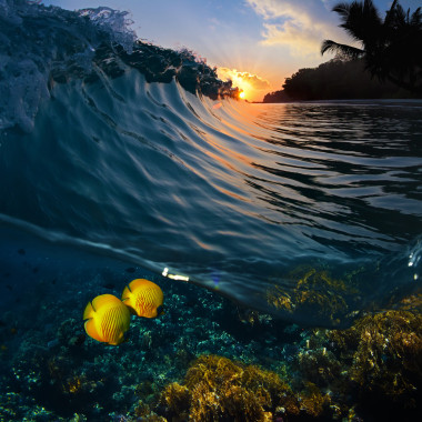 日落时间绿色蓝色彩色冲浪的海浪把由等高线和热带的黄色小