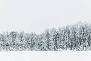 冬季的山間雪和森林景觀圖片