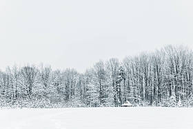 冬季的山间雪和森林景观图片