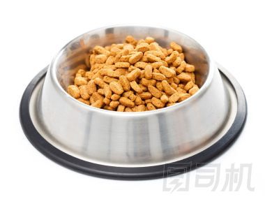 充分的寵物食品貓碗