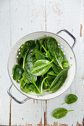 在漏勺年轻菠菜照片