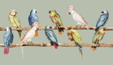 在分支例证的复古鹦鹉品种栖息