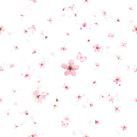 无缝的樱花