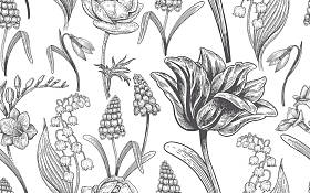 春天的花朵。花复古无缝图案。东方风格。郁金香, 毛茛, muscari, 小苍兰, 海葵, 山谷百合, 雪花莲, 非洲百合。背景为纺织品, 纸, 墙纸