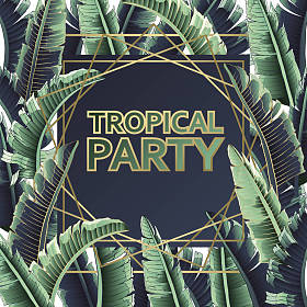 热带党海报的向量例证图片