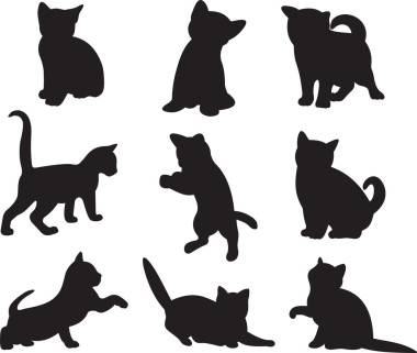 猫矢量照片