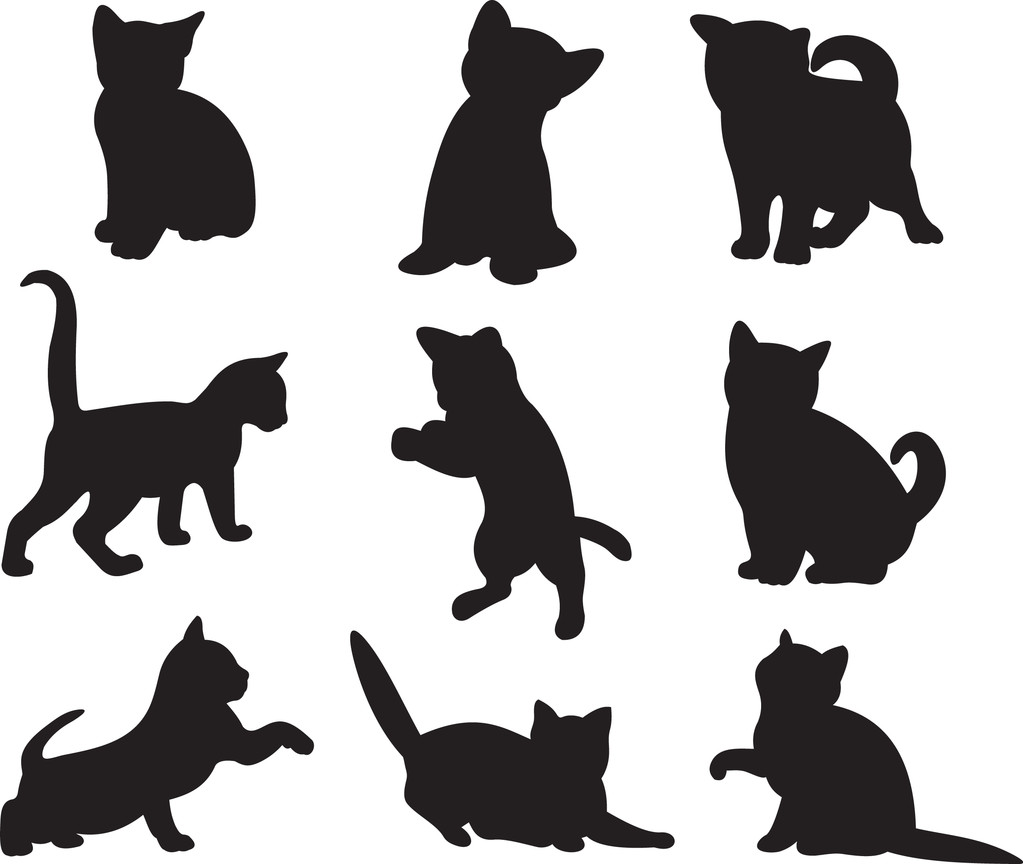 猫矢量照片