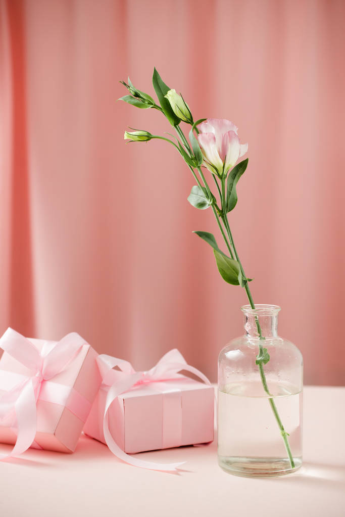 情人节和3月8日国际妇女日。送给所爱的人的礼物