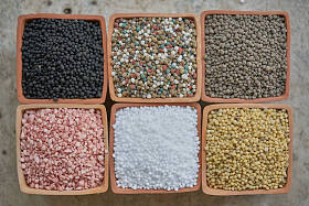 黏土壶中的六种化肥图片