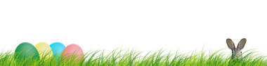 隐藏的复活节兔子在绿色的草地上与五颜六色的复活节鸡蛋