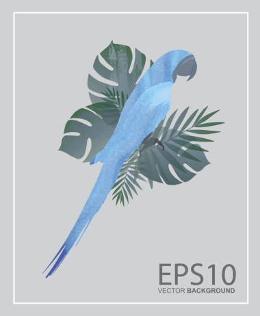 金剛鸚鵡鳥和熱帶綠葉樣式背景