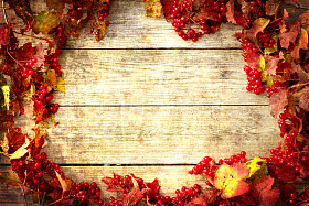 复古秋季边框照片