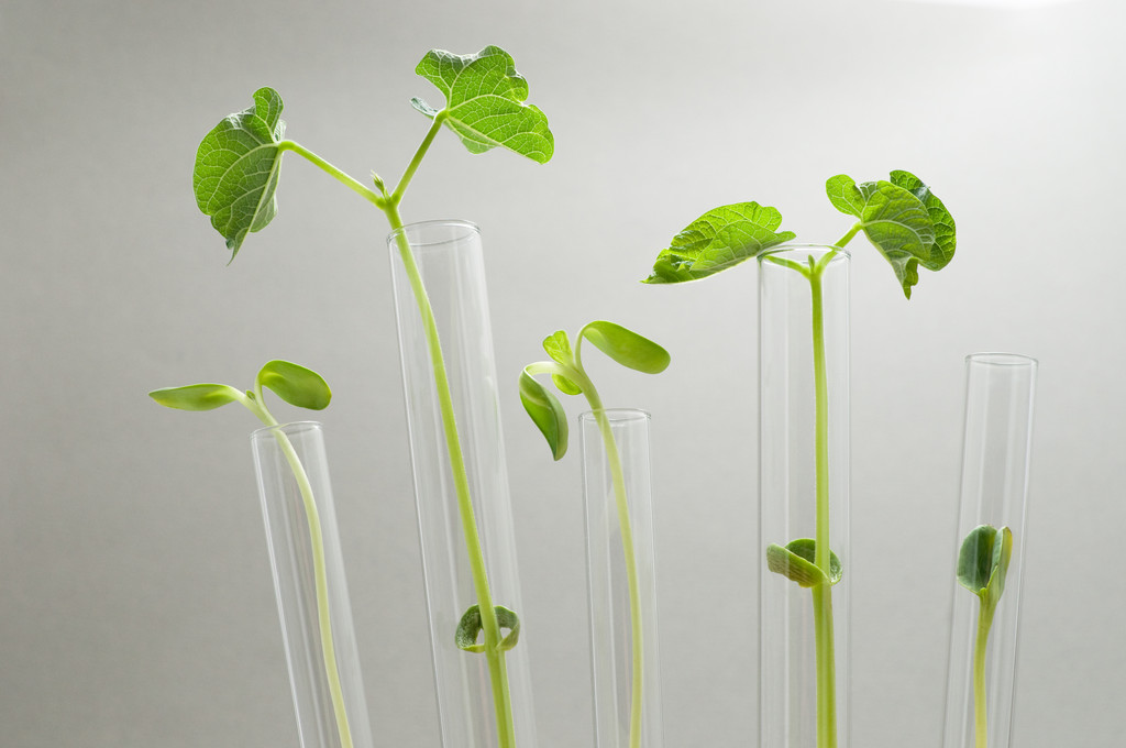 生物技术