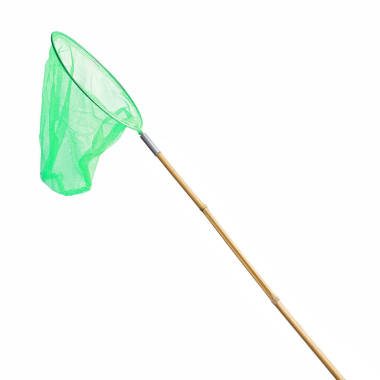 綠色蝴蝶網(wǎng)捕捉蝴蝶圖片