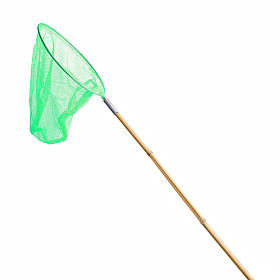 绿色蝴蝶网捕捉蝴蝶图片