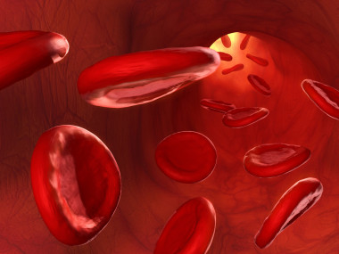 血液細(xì)胞圖片