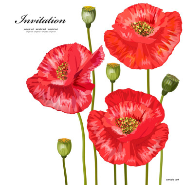 为您设计的红色罂粟花的花束图片