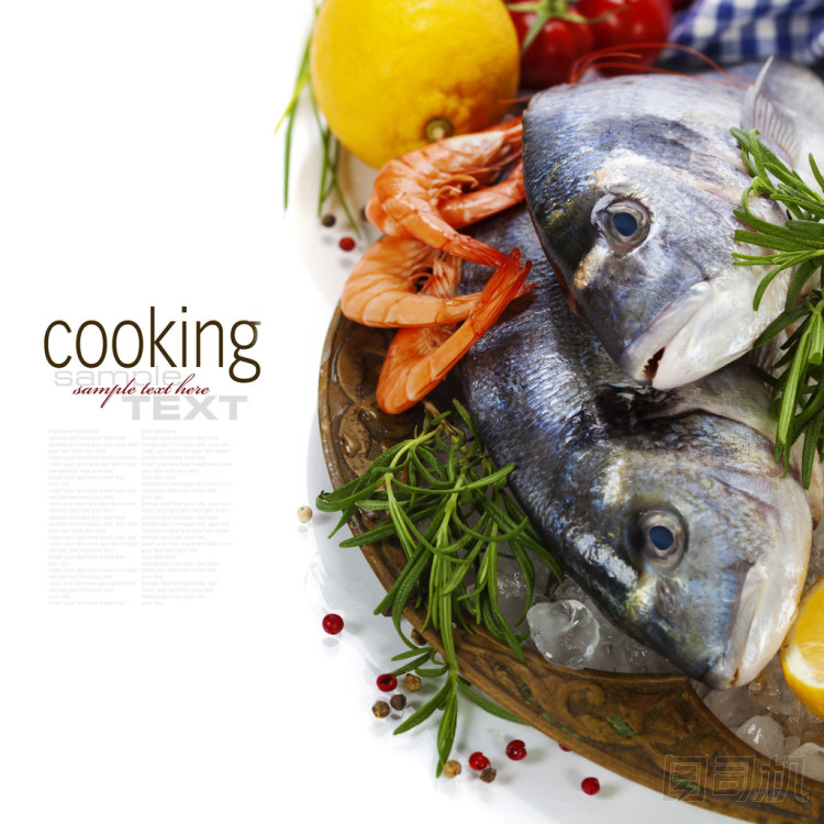 在冰上新鮮的海鮮