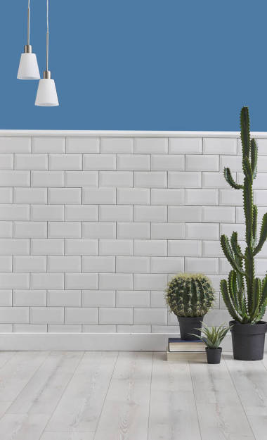  墻壁室內(nèi)房間，鑲木地板細(xì)節(jié)與植物