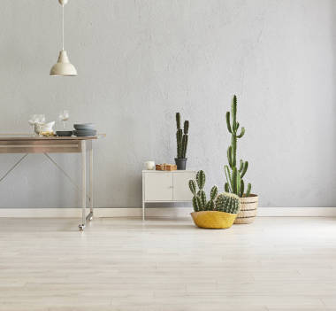 灰色石墻背景，灰色室內(nèi)房，現(xiàn)代家居，仙人掌。房間里的家用品和鑲木地板細(xì)