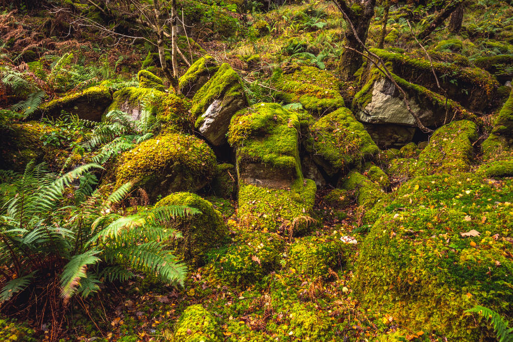 苏格兰秋天 苏格兰秋天