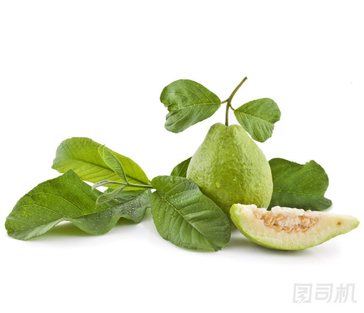 番石榴果葉