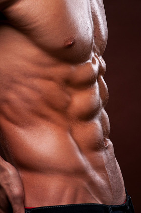 躯干与六包图片