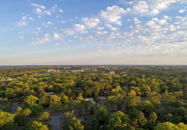 南阿拉巴馬大學(xué)和移動(dòng)市中心的鳥圖 