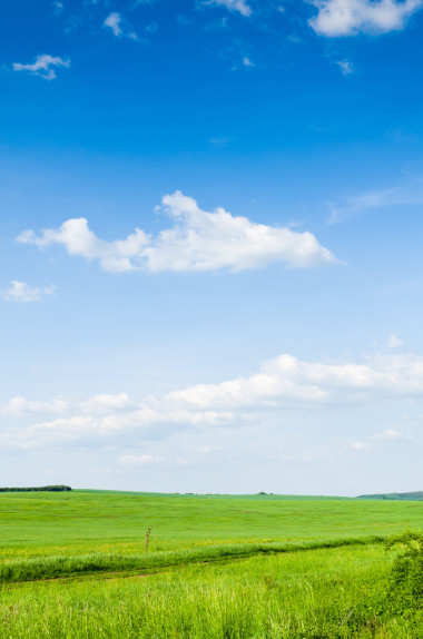 綠色領域背景圖片