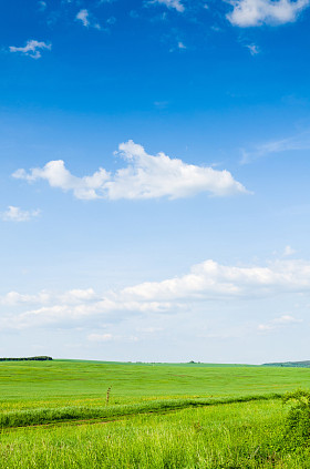 绿色领域背景图片
