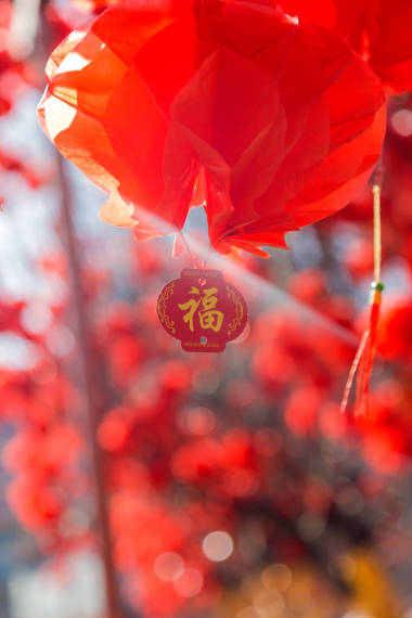 掛紅燈籠過年圖片