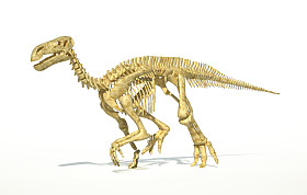禽龙的恐龙骨骼完全逼真和科学正确