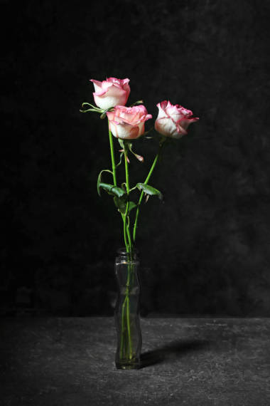 花瓶与美丽的花朵在黑暗的背景