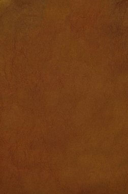 棕色皮革紋理特寫(xiě)