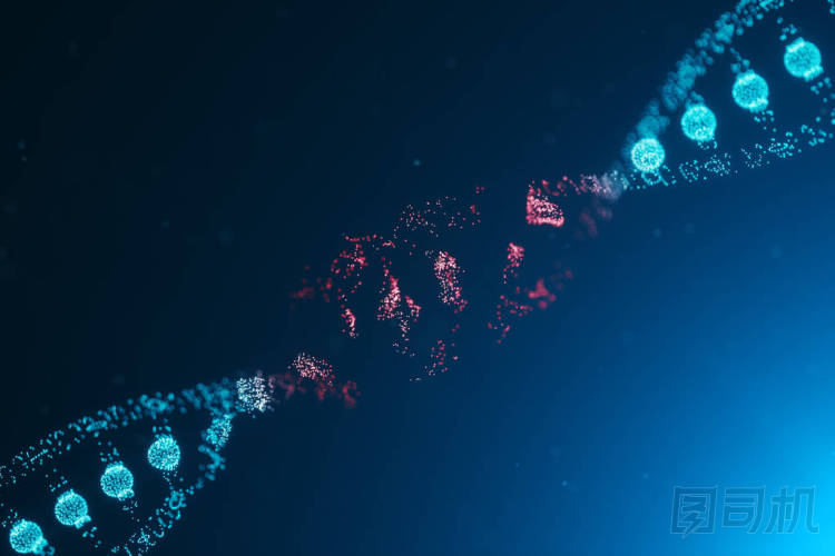 3d插圖病毒Dna分子，結(jié)構(gòu)。概念破壞了人類基因組代碼。破壞Dna分子螺旋組成粒子，點?；蛲蛔兓?qū)嶒炘斐傻腄na破壞