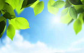 春天阳光背景照片