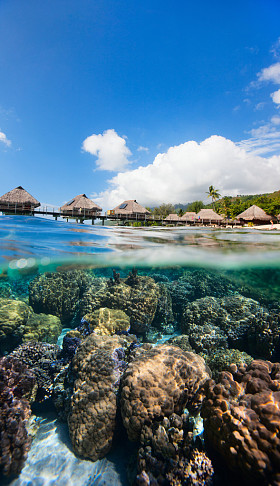 法属波利尼西亚以上和波纹管水