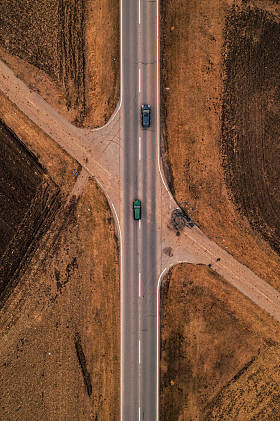 路上有两辆车, 鸟图