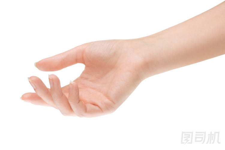 在白色背景上的空打開女人手圖片