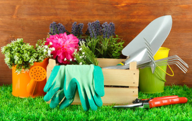 在院子里的草坪上園林工具圖片