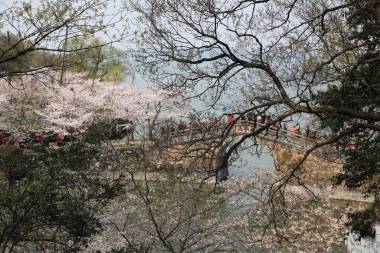 美麗的秋景背景