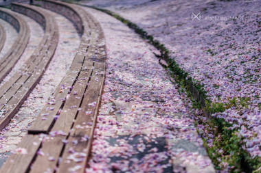 航拍路徑圖圖片