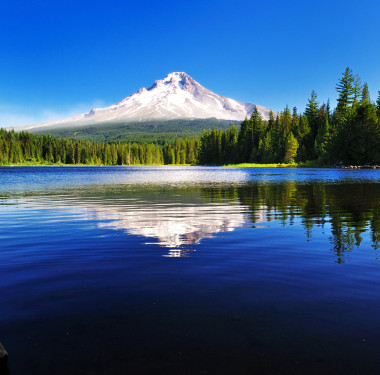 trillium 湖山罩反射