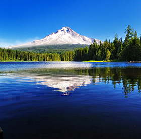 trillium 湖山罩反射