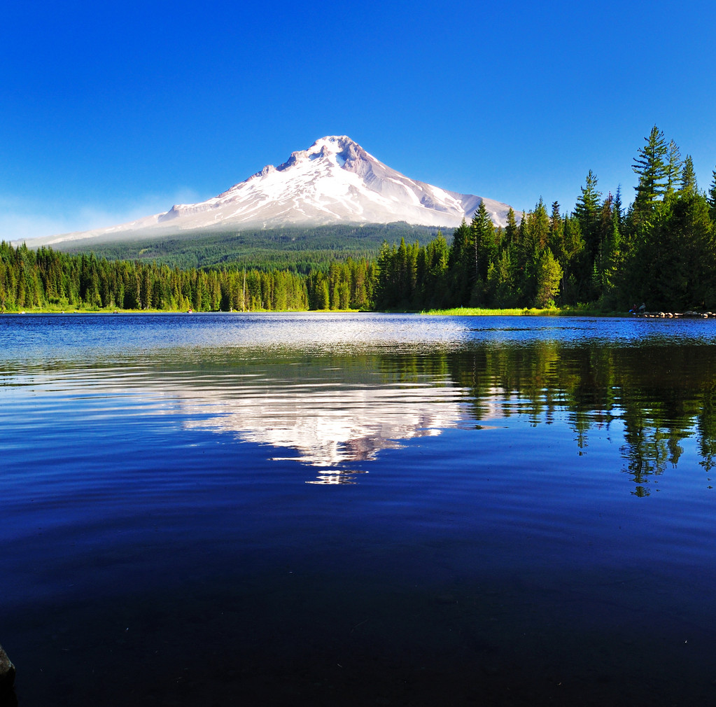 trillium 湖山罩反射